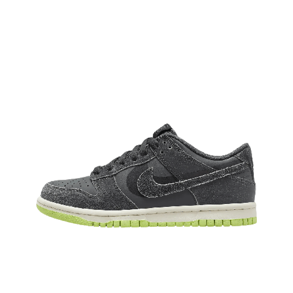Dunk Low SE Older Kids’ Shoes – Grey