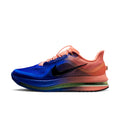 Nike Men's Road Running Shoes Pegasus Premium
